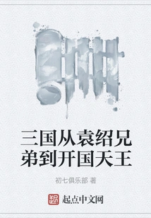 The Three Kingdoms from Yuan Shao Brothers to the Founding King