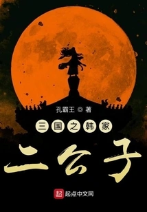 The Second Son of the Han Family in Three Kingdoms