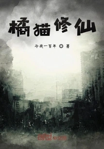 Orange Cat Cultivating Immortality