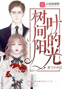 Sunlight Among Leaves