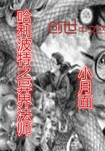 Harry Potter: the Wizard