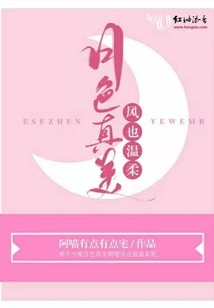 The Moonlight is so Beautiful and the Wind is Gentle