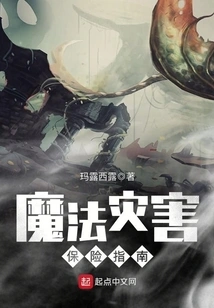 Magical Disaster Insurance Guide