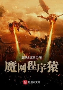 Magic Web Programmer