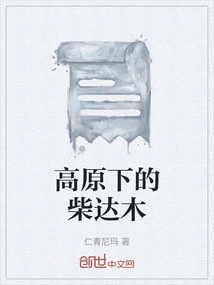 Qaidam under the Plateau