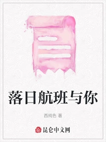 Sunset Flight with You