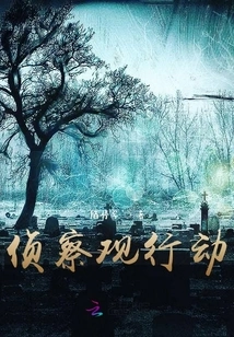 Reconnaissance Observation Operation