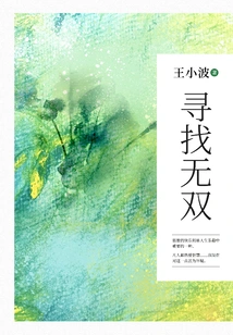 Looking for Wushuang