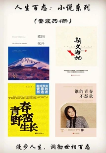 Various Life Situations: Novel Series (set of 4 Volumes in Total)