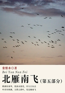 Wild Geese Flying South Part 5 (zhang Henshui's Classic Novel)
