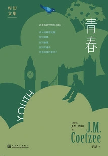 Youth (collected Works of Coetzee)