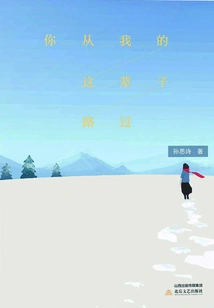 You Passed by in My Life