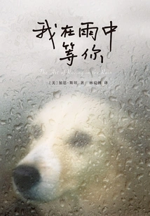 I'm Waiting for You in the Rain (2019 Version)