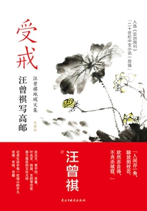 Ordained: Wang Zengqi Wrote Gaoyou