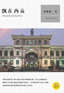 Floating in Saigon (a Good Chinese Novel)