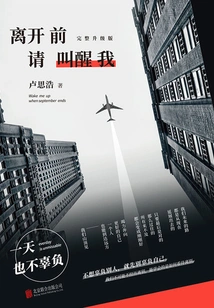 Please Wake Me up Before Leaving