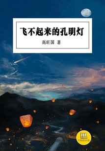 The Kongming Lantern That Can't Fly (a Good Chinese Novel)