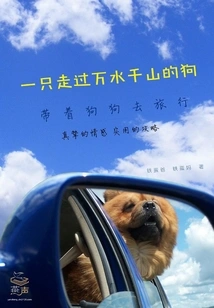 A Dog That Has Traveled Through Thousands of Rivers and Mountains