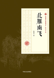 Wild Geese Flying from the North to the South (collection of Popular Novels of the Republic of China·zhang Henshui Volume)