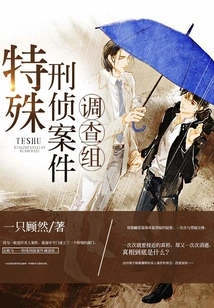 Special Criminal Investigation Case Investigation Team