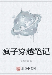 Madman's Time Travel Notes