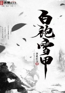 White Robe Snow Armor