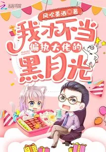 I Am Not the Black Moonlight of a Paranoid Boss