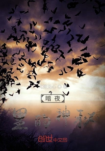 The Mystery in the Dark Night