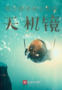 Secret Mirror of the Diverse Lives of Agents