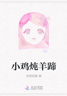 Braised Chicken and Lamb Trotters