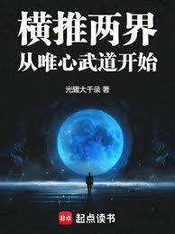 This High-Martial World is Too Insane cover
